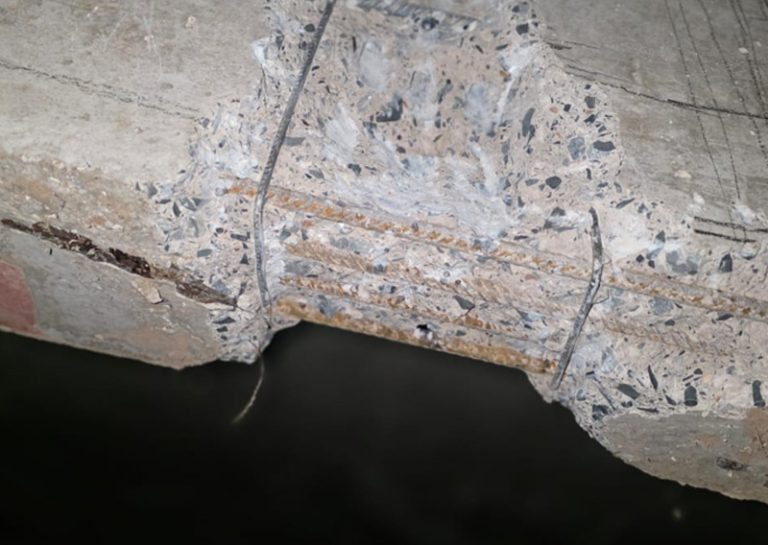 patologia_05